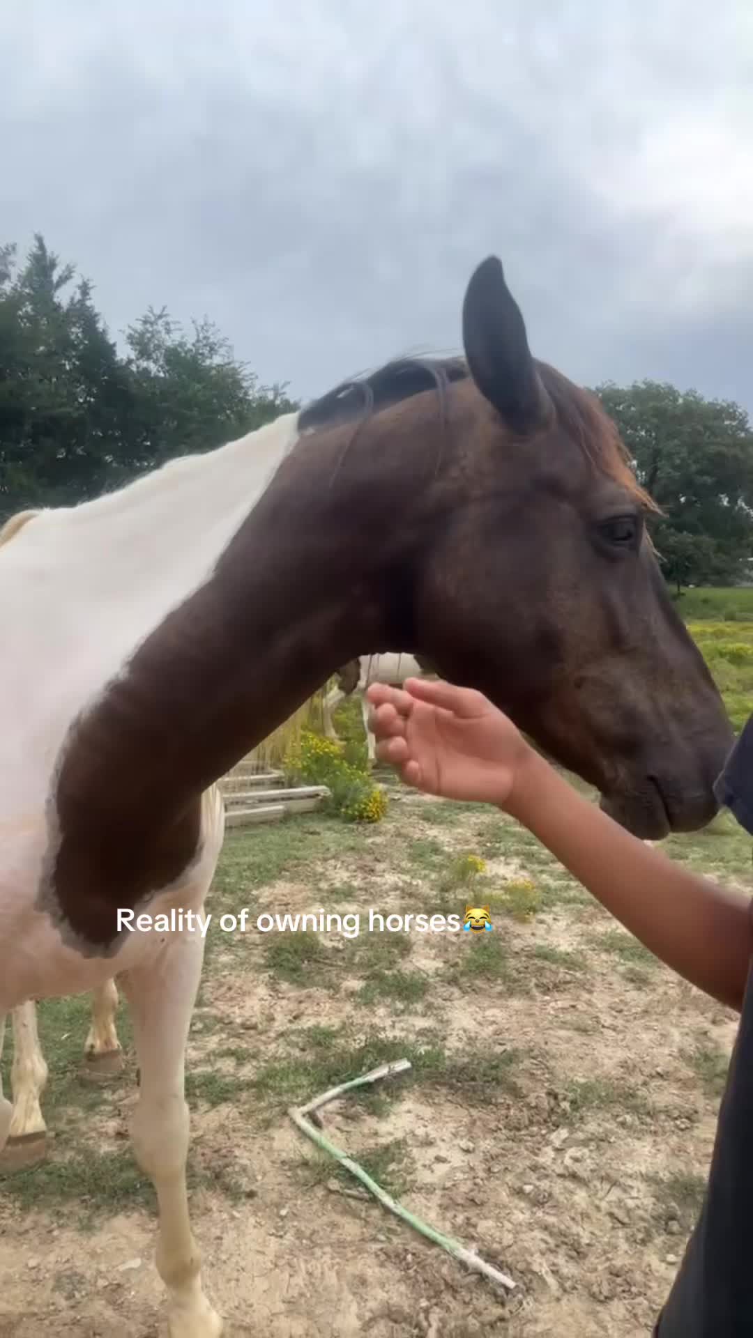 @CJ🧑🏽🌾