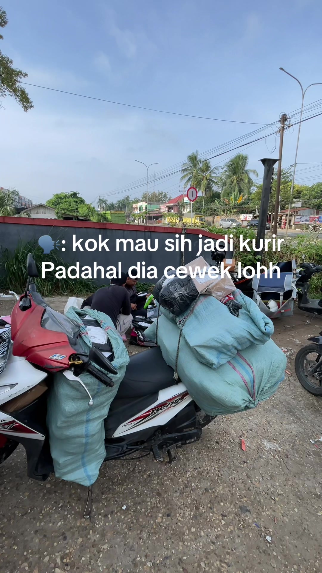 @dedeklily31