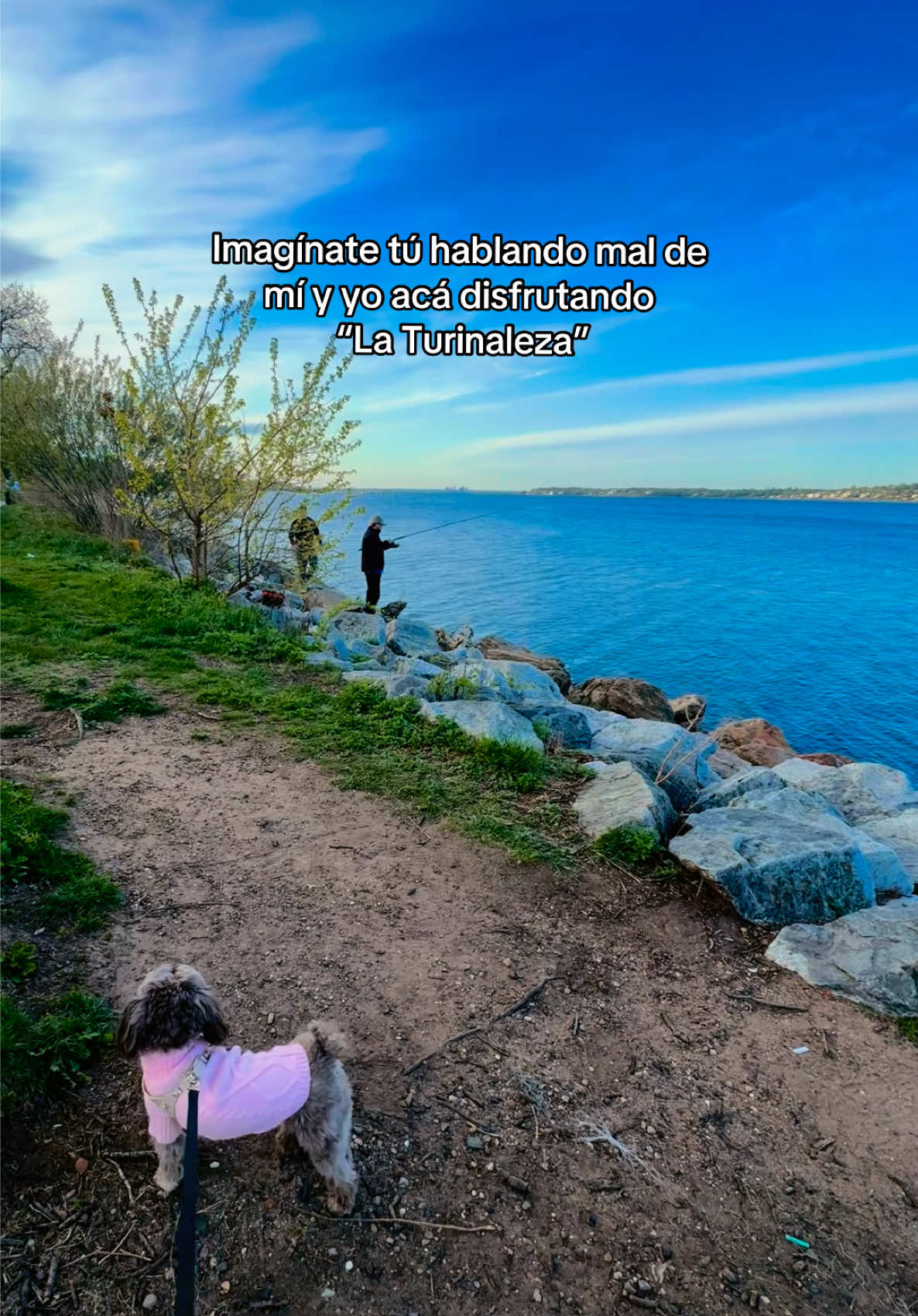@Marysela Salinas