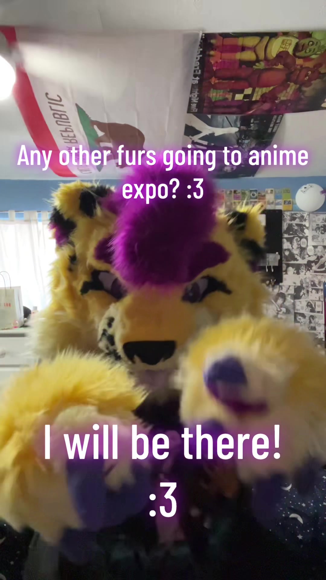 @Wolfyy!! ‼️‼️