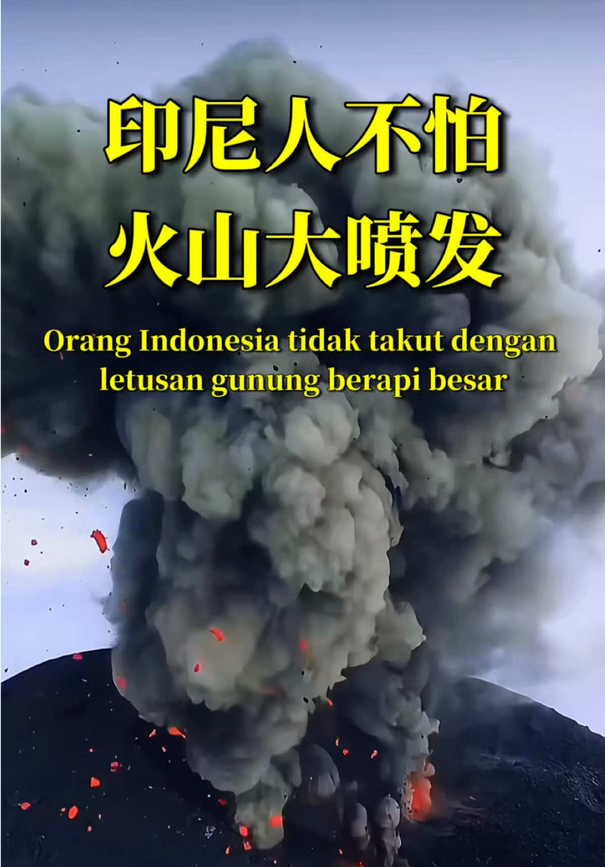 @万岛文化 BudayaNusantara
