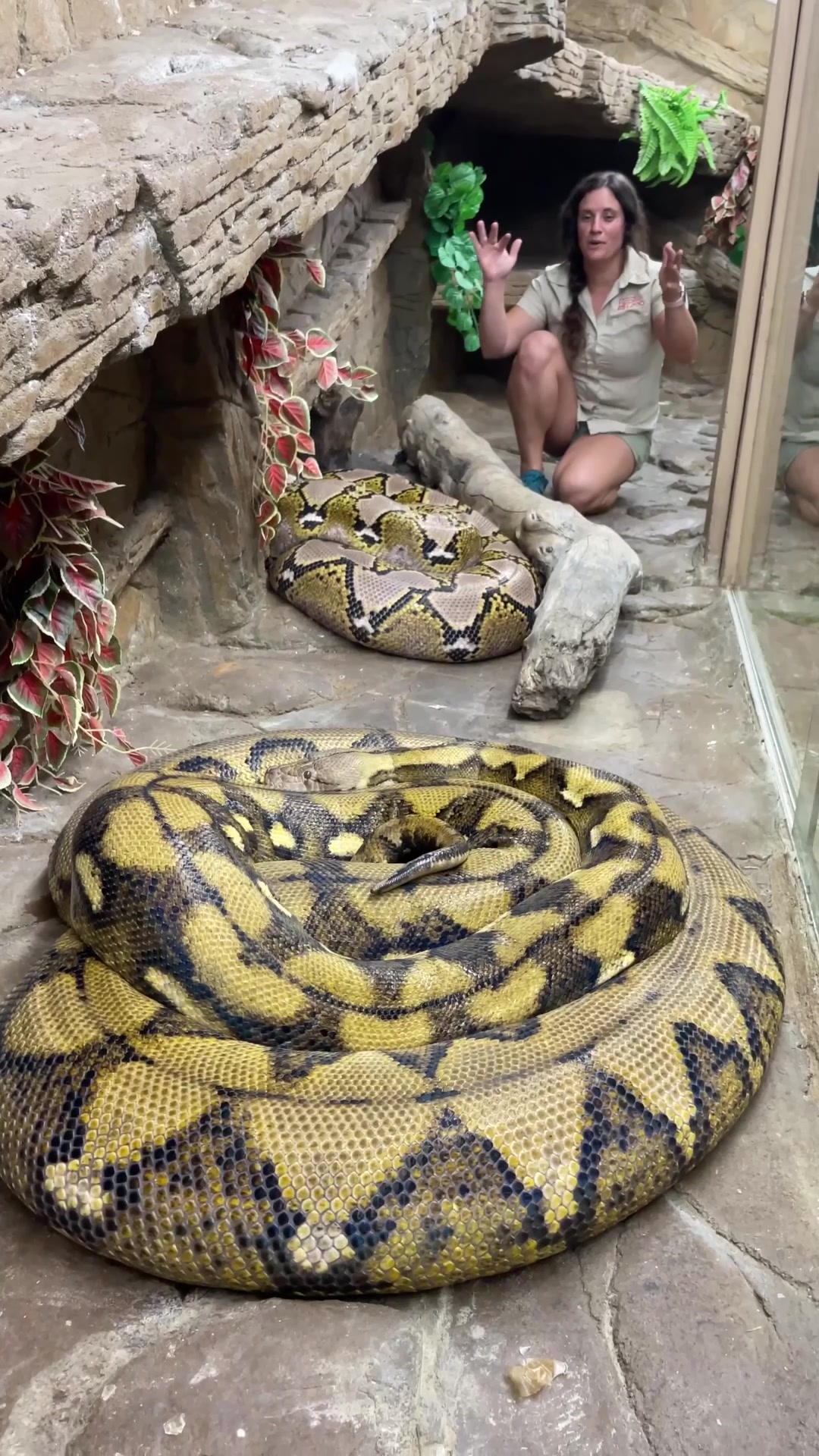 @The Reptile Zoo