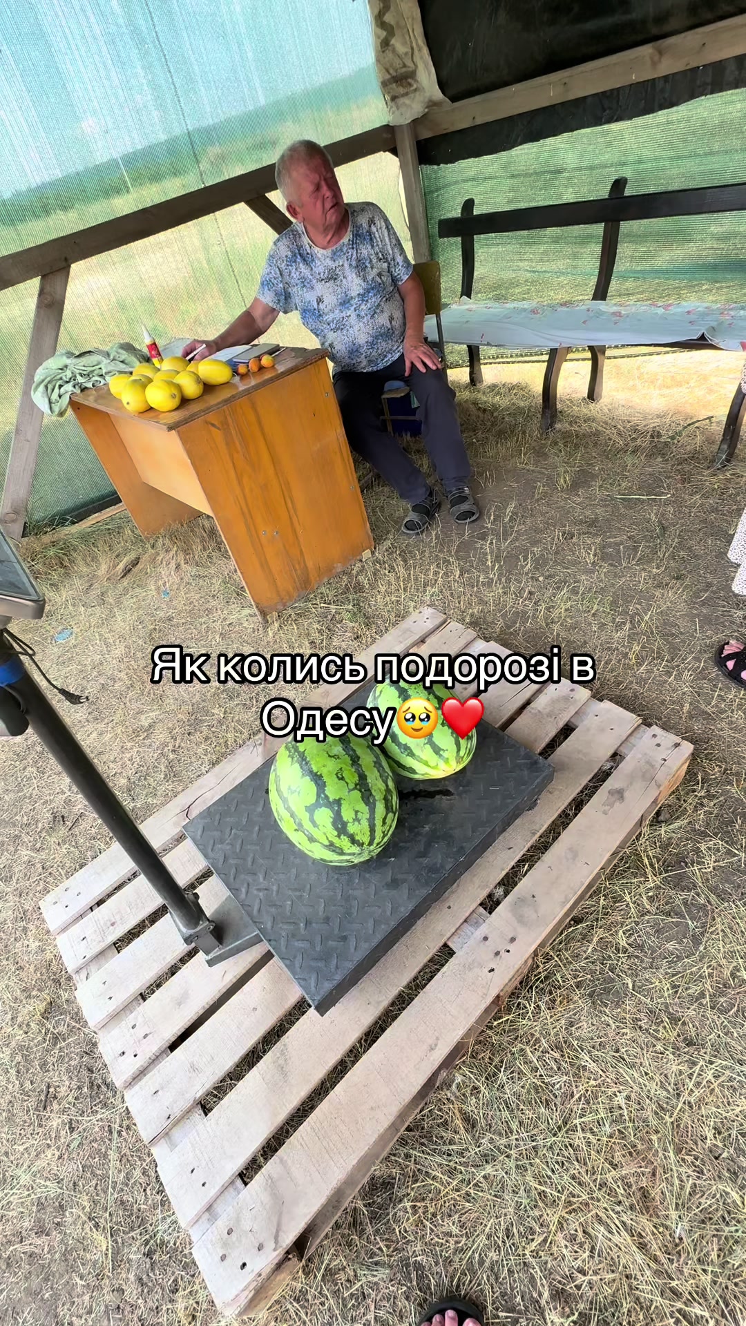 @Ta.motsna