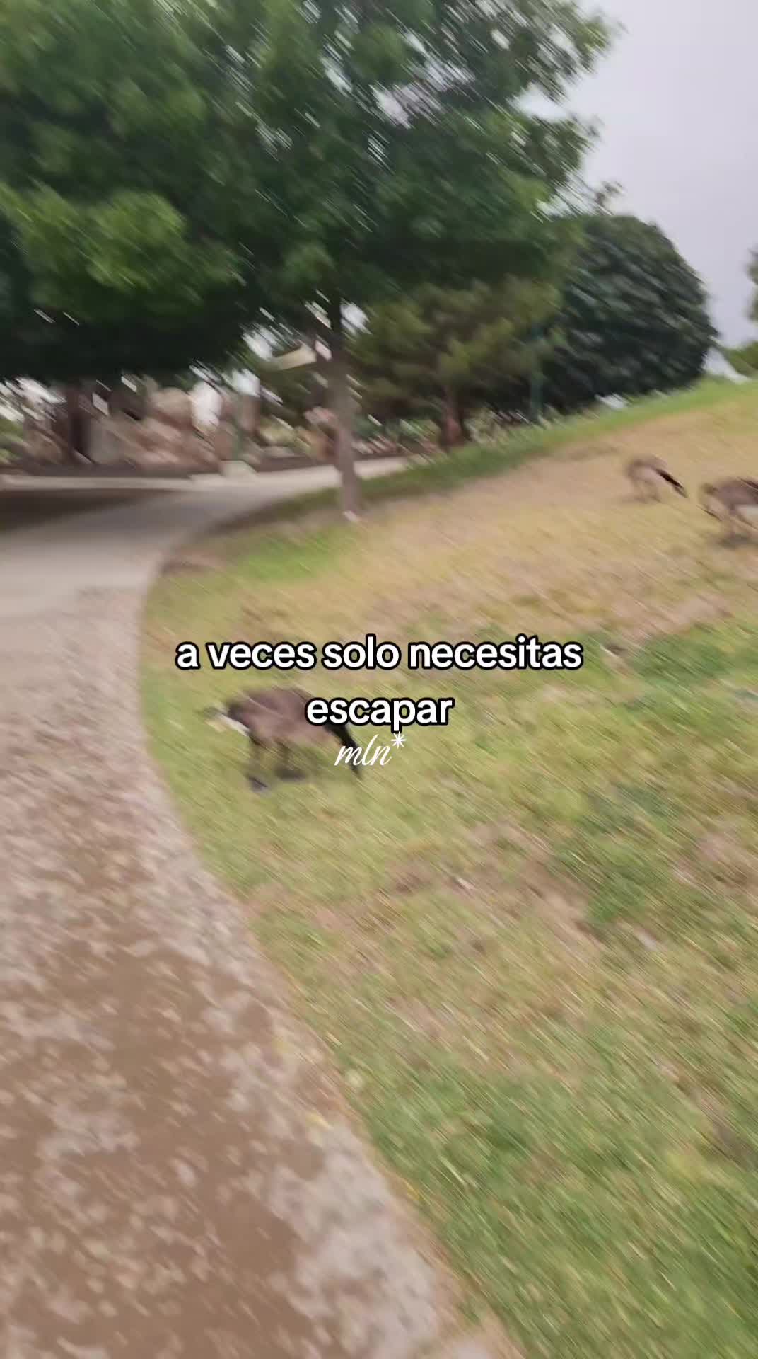 @£va