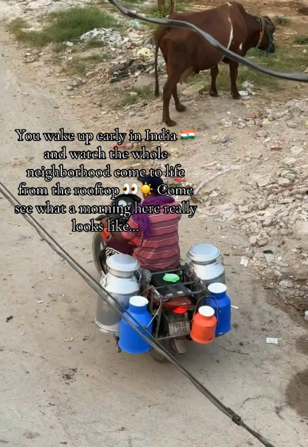 @Somos Virk 🇲🇽🇮🇳
