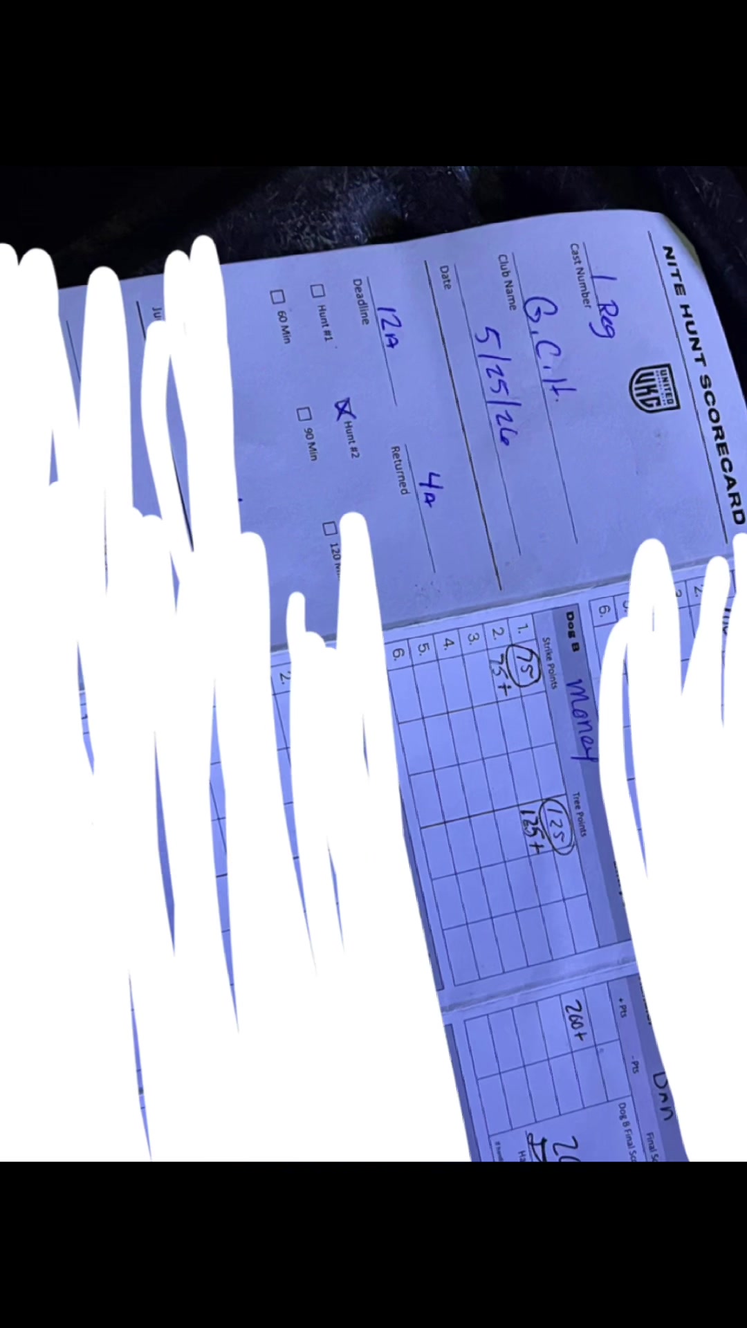 @DAN