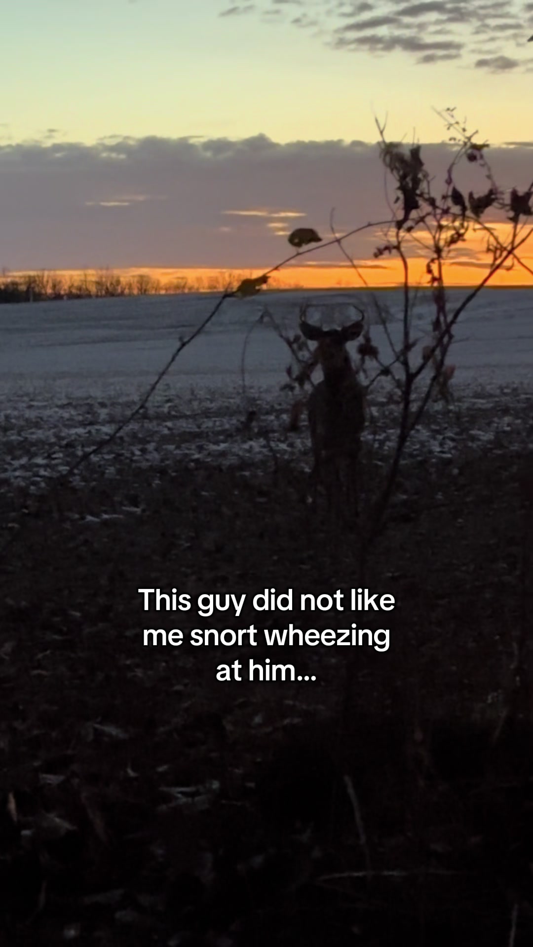 @TheHuntingJunkie