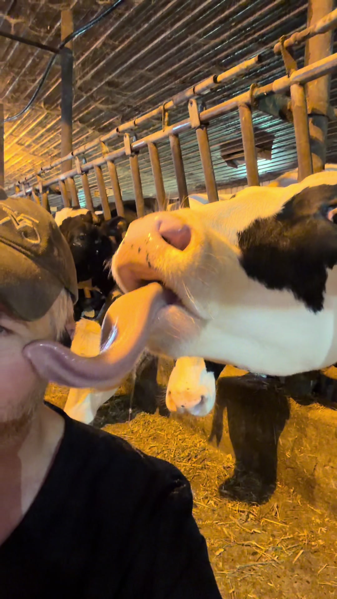 @RedOakAcres