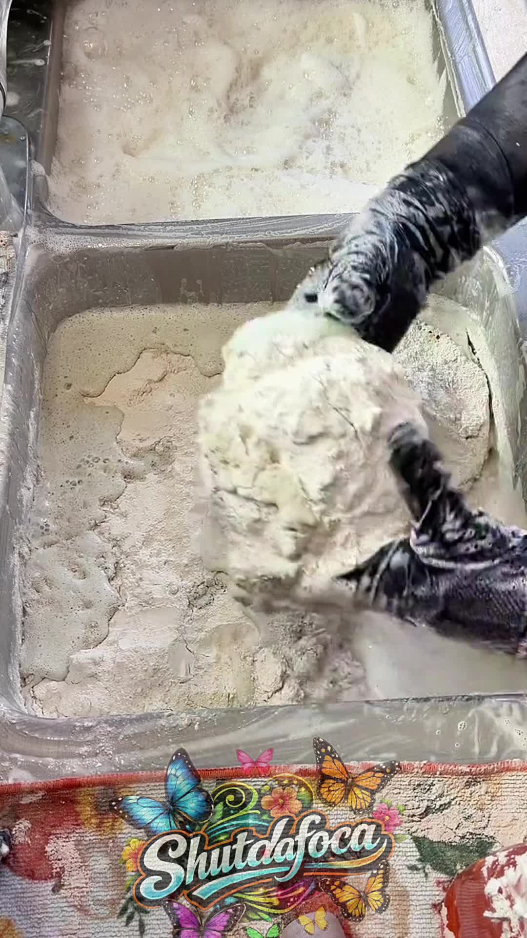 @shutdafoca