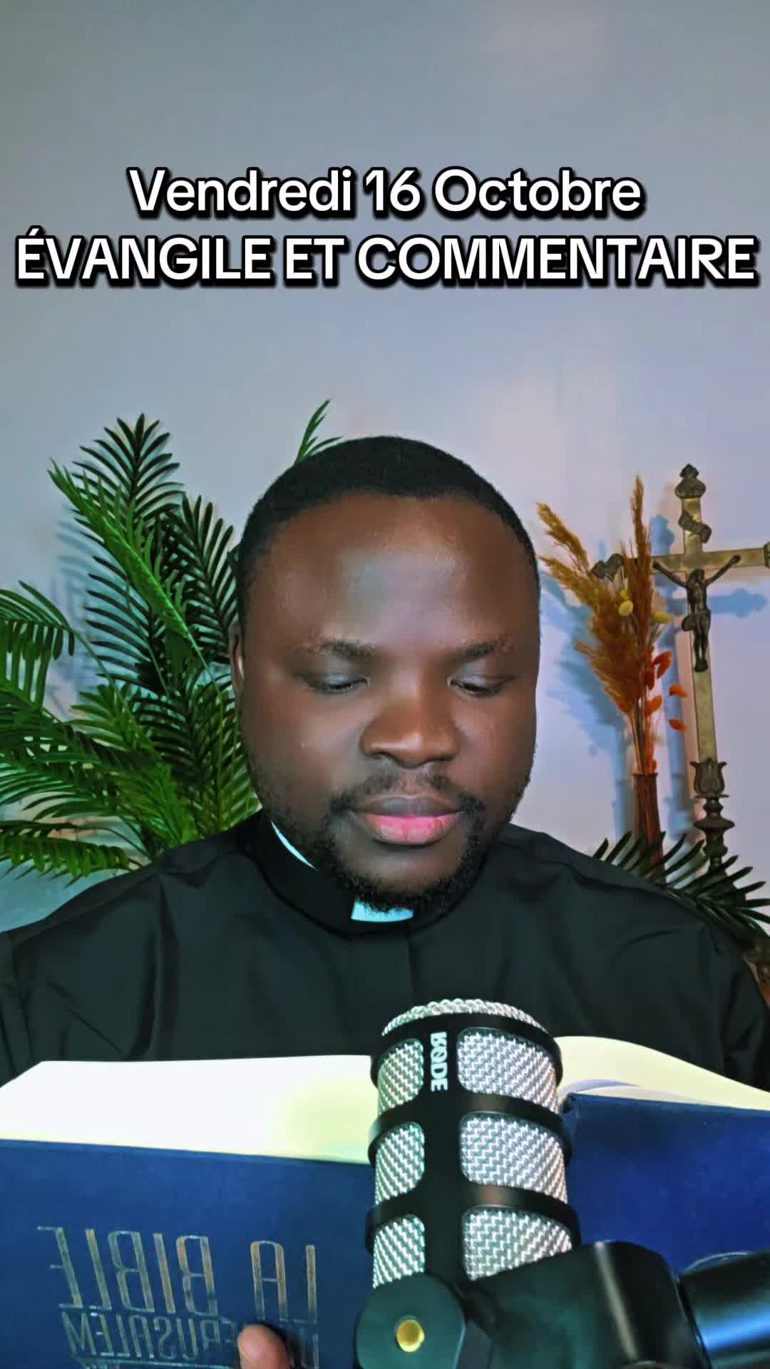 @Padre Précieux 🇨🇵🇻🇦