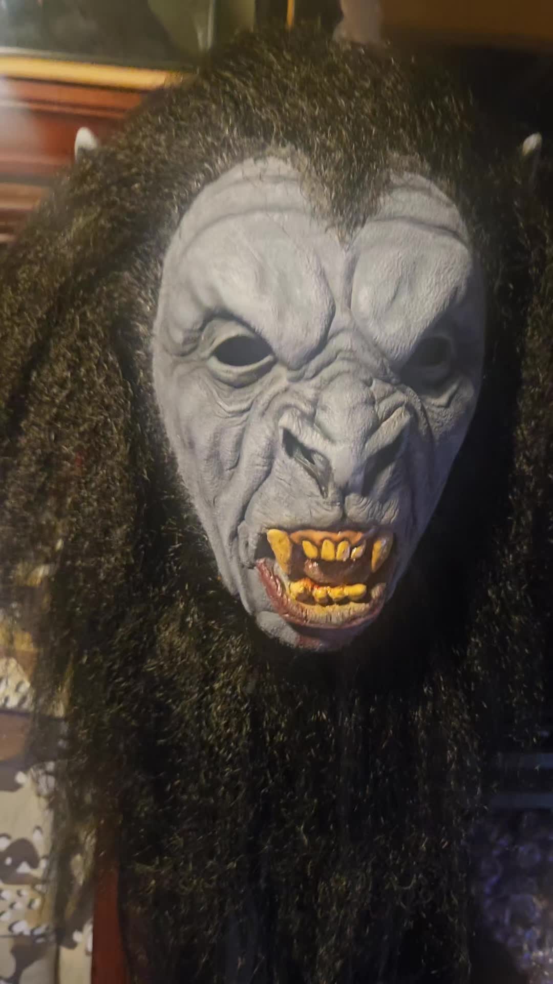 @thedeadnextdoor81