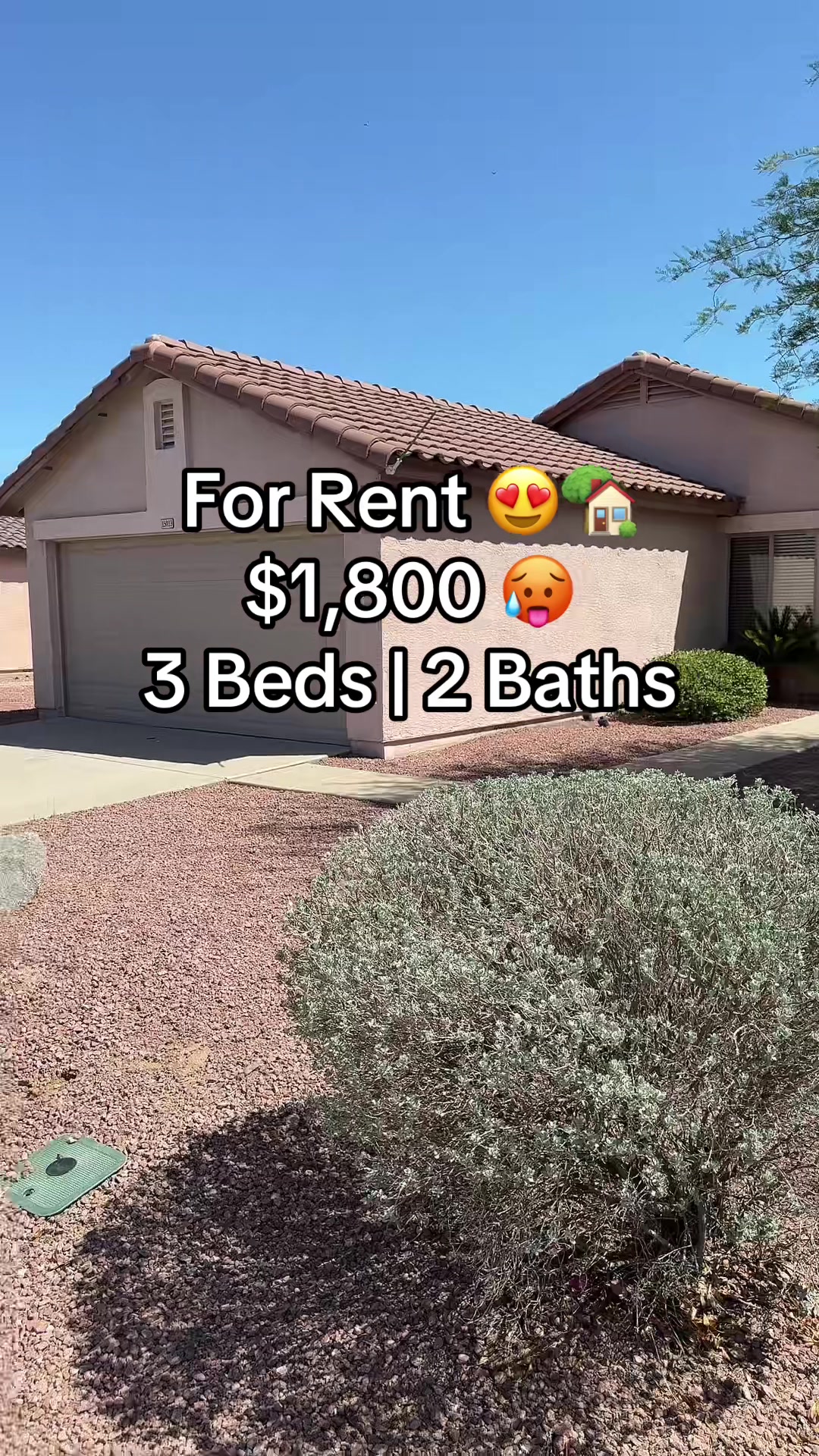 @Meron Qassab | AZ Real Estate