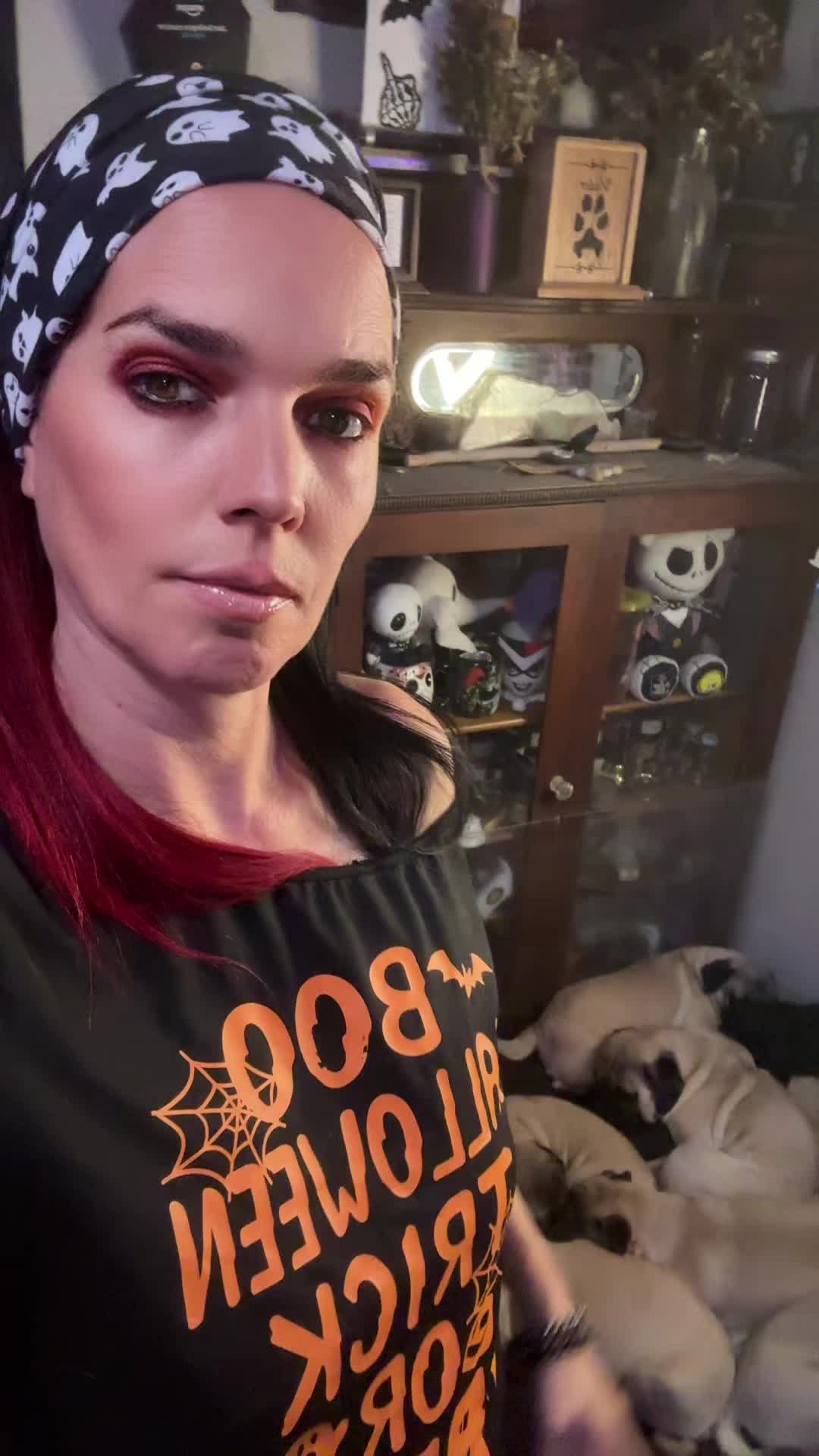@odiespugfamily