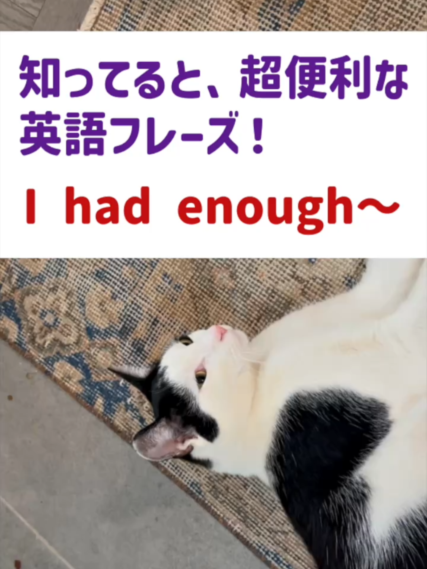 @ミニマリスト イングリッシュ