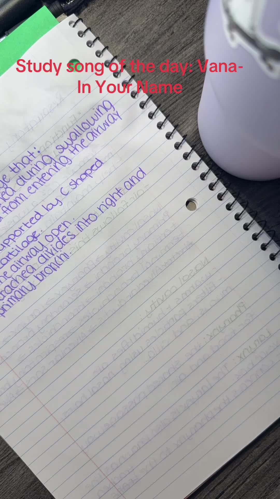 @Dani✨✨✨