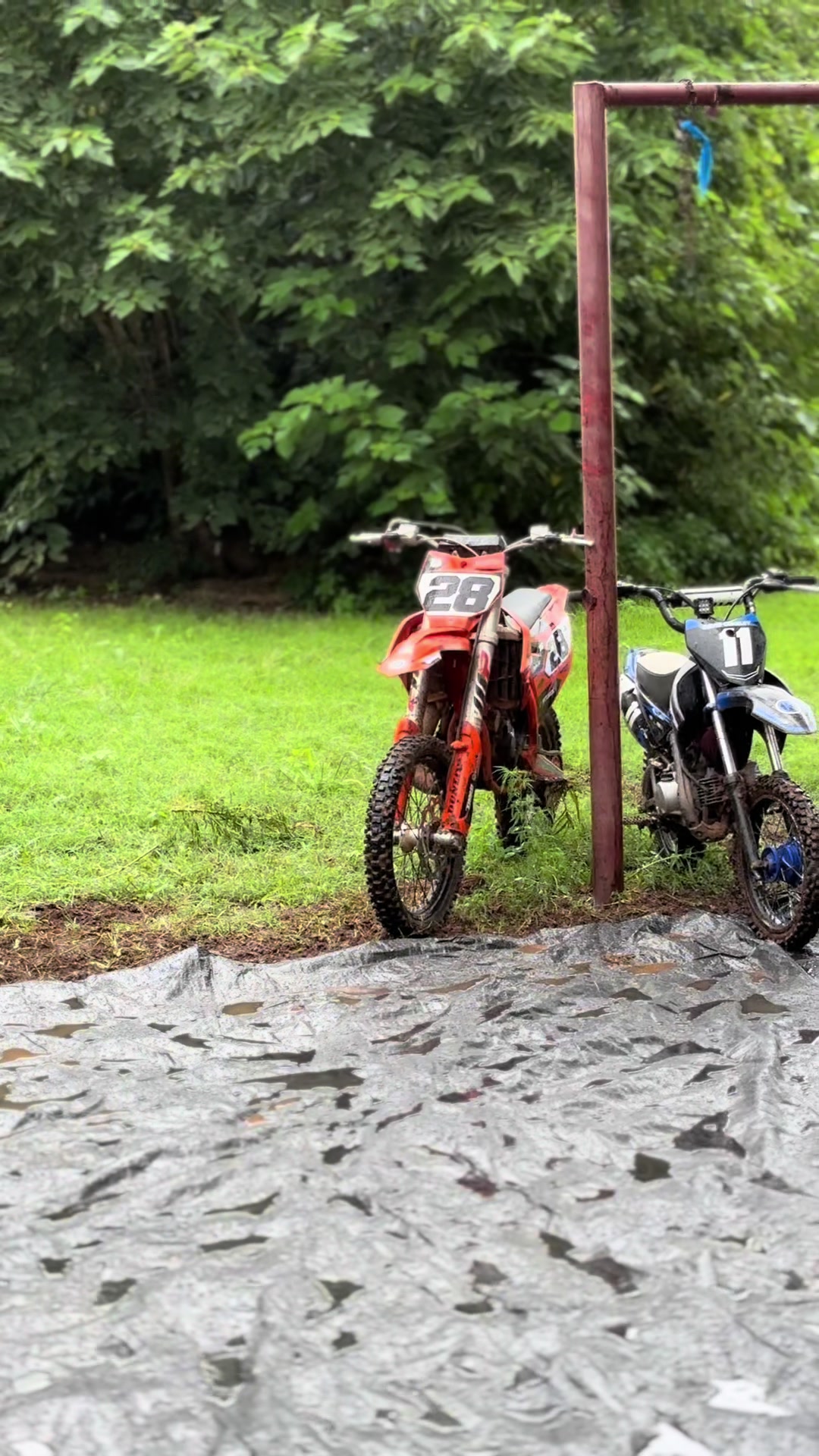 @local hated ktm 85 👑