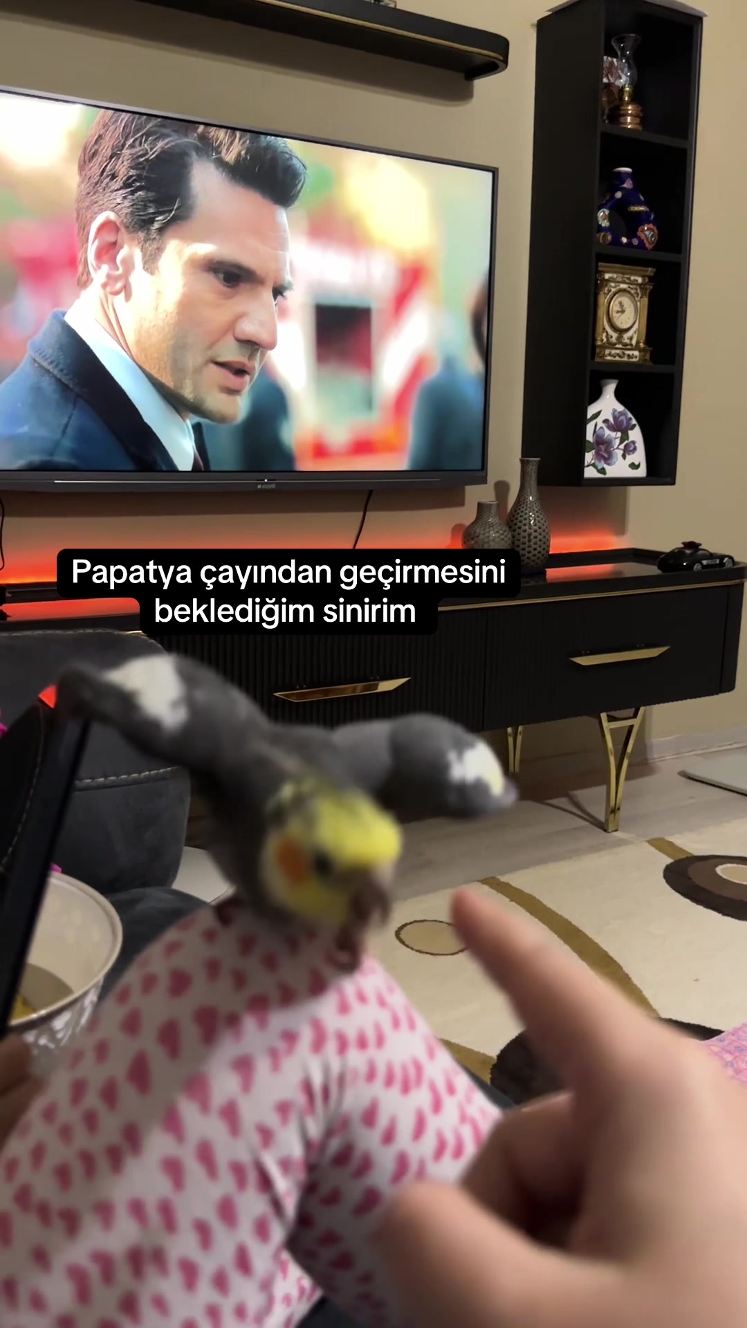 @Svg.K.E