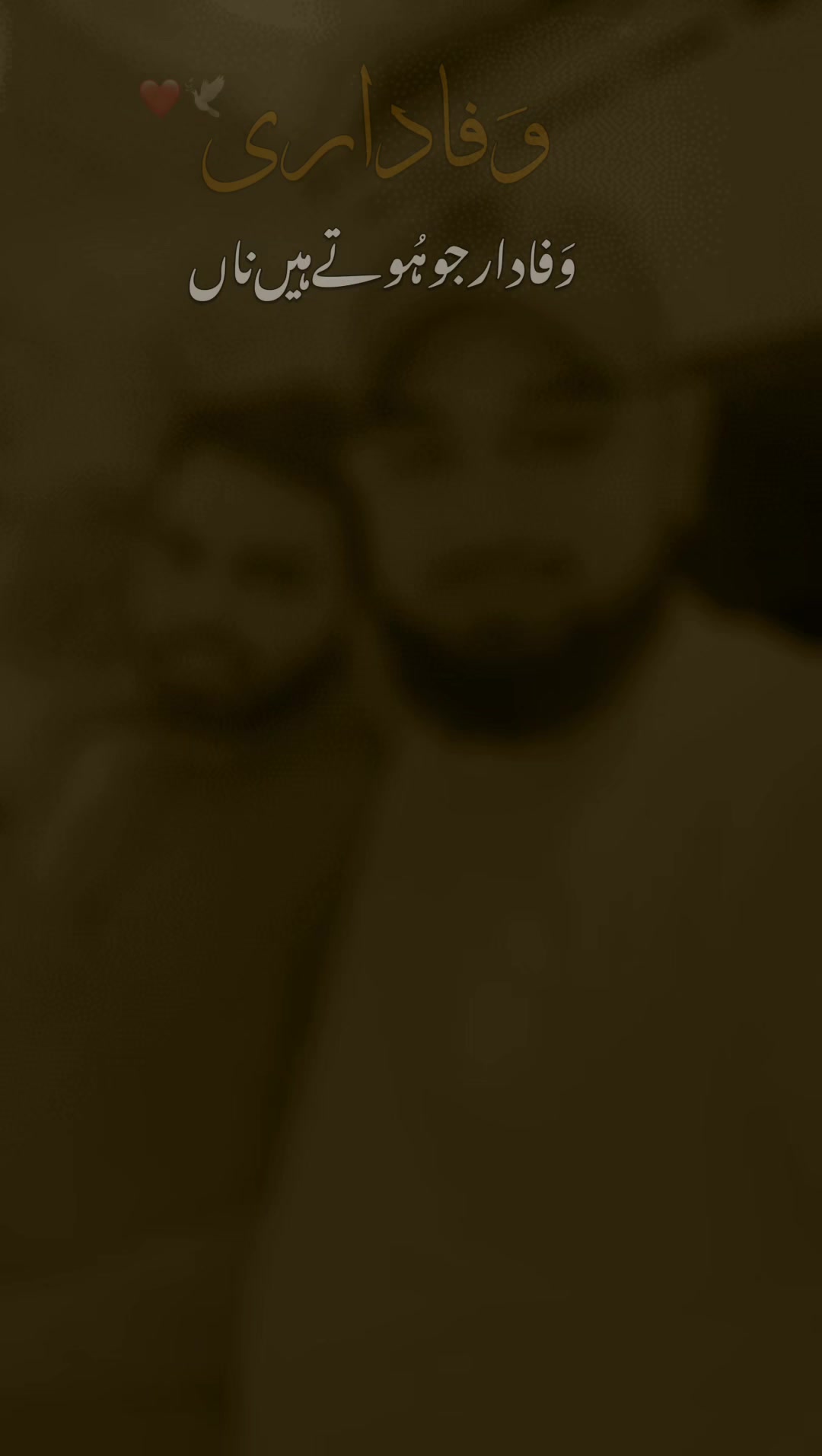 @عمیر رشید