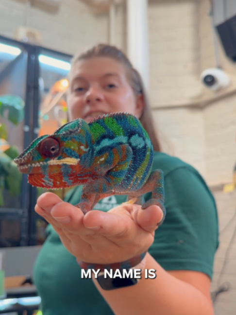 @The Toledo Zoo