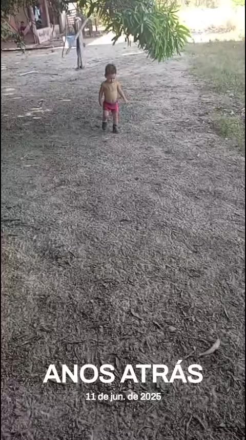 @kellytamorais109