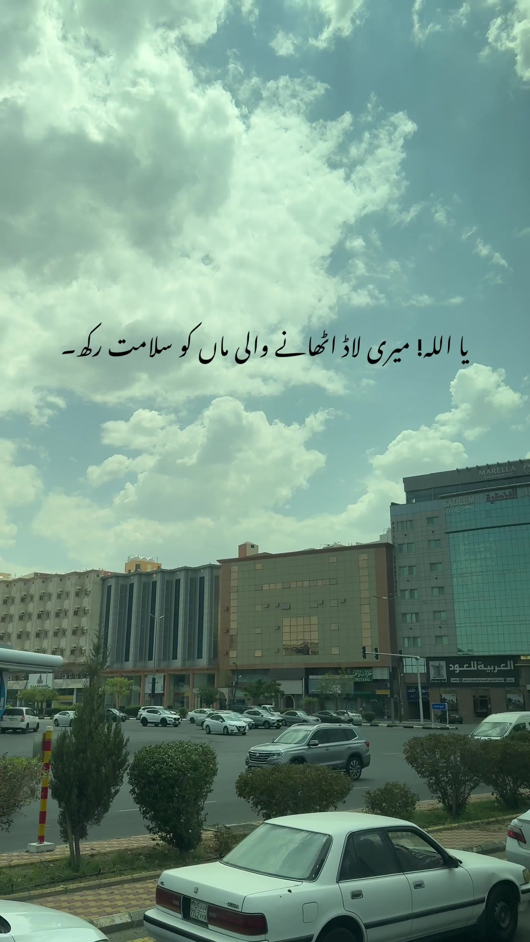 @ᗰOIᑎ ᗩᒪI Տᕼᗩᕼ - ᗰᗩՏ 🚩