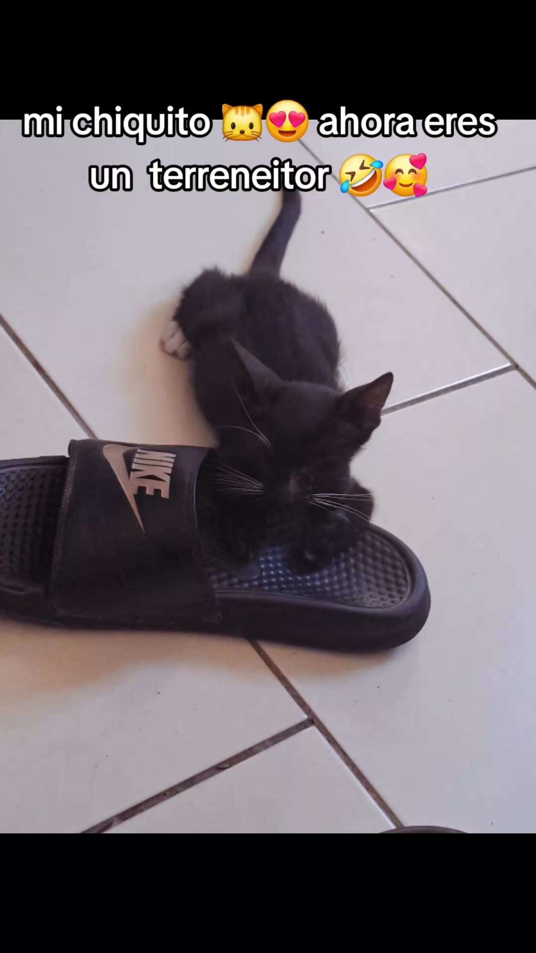 @🌻ℂ𝕐ℕ𝕋ℍ𝕀𝔸🌻