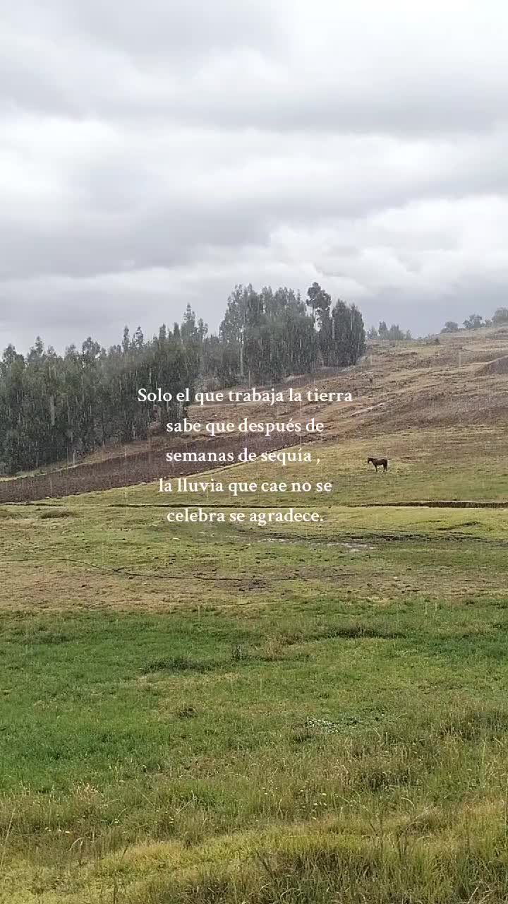 @✨Pampinita de ORO ✨