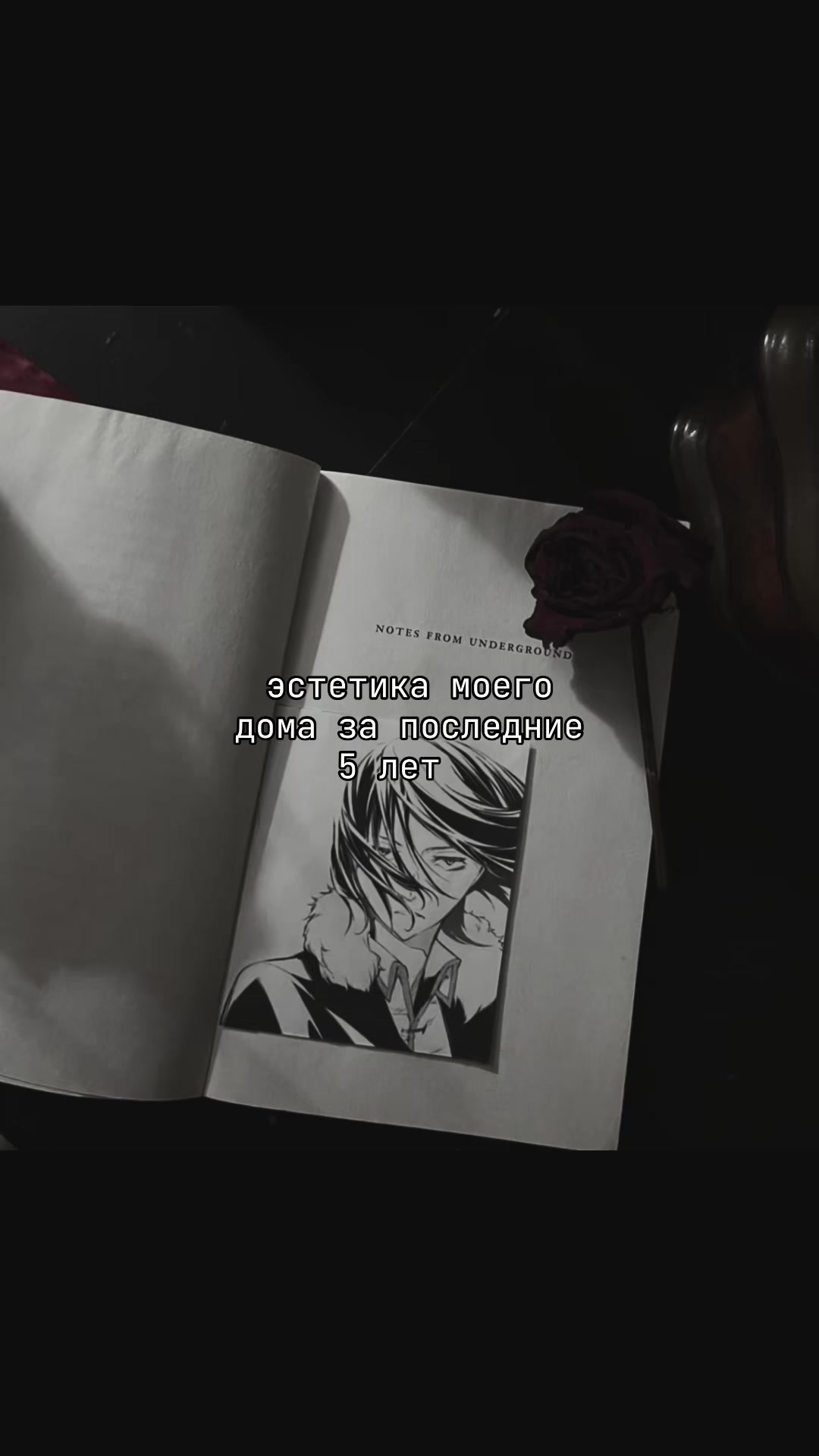 @˚˖𓍢ִ𝒴𝓊𝓃𝒶 ໋˚