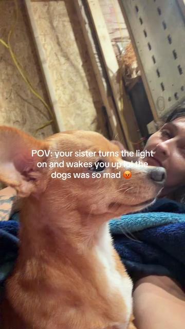 @donnasmith7175