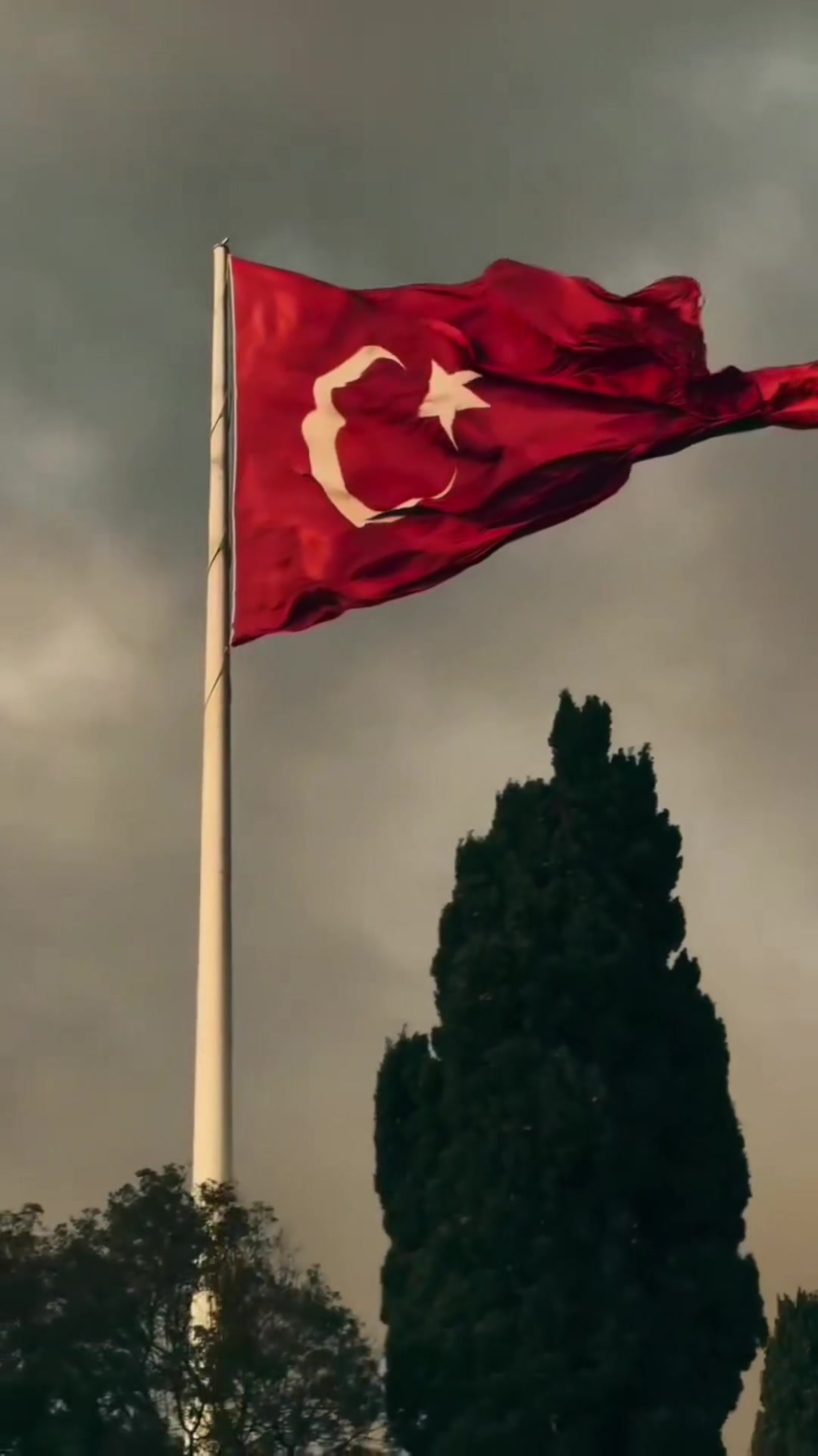 @arap çoçuğu
