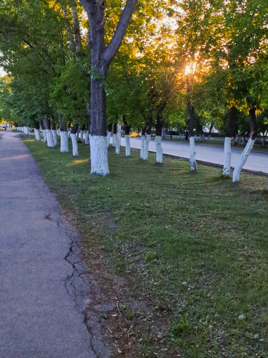 @НиколаевнаЯ
