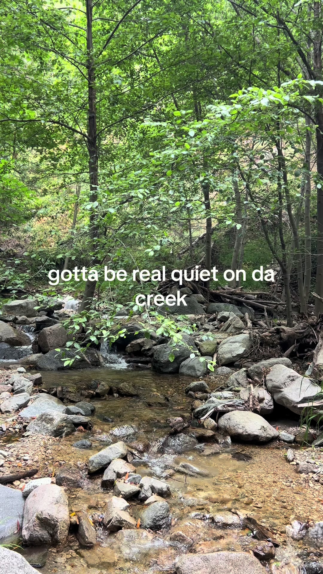 @CHRIS