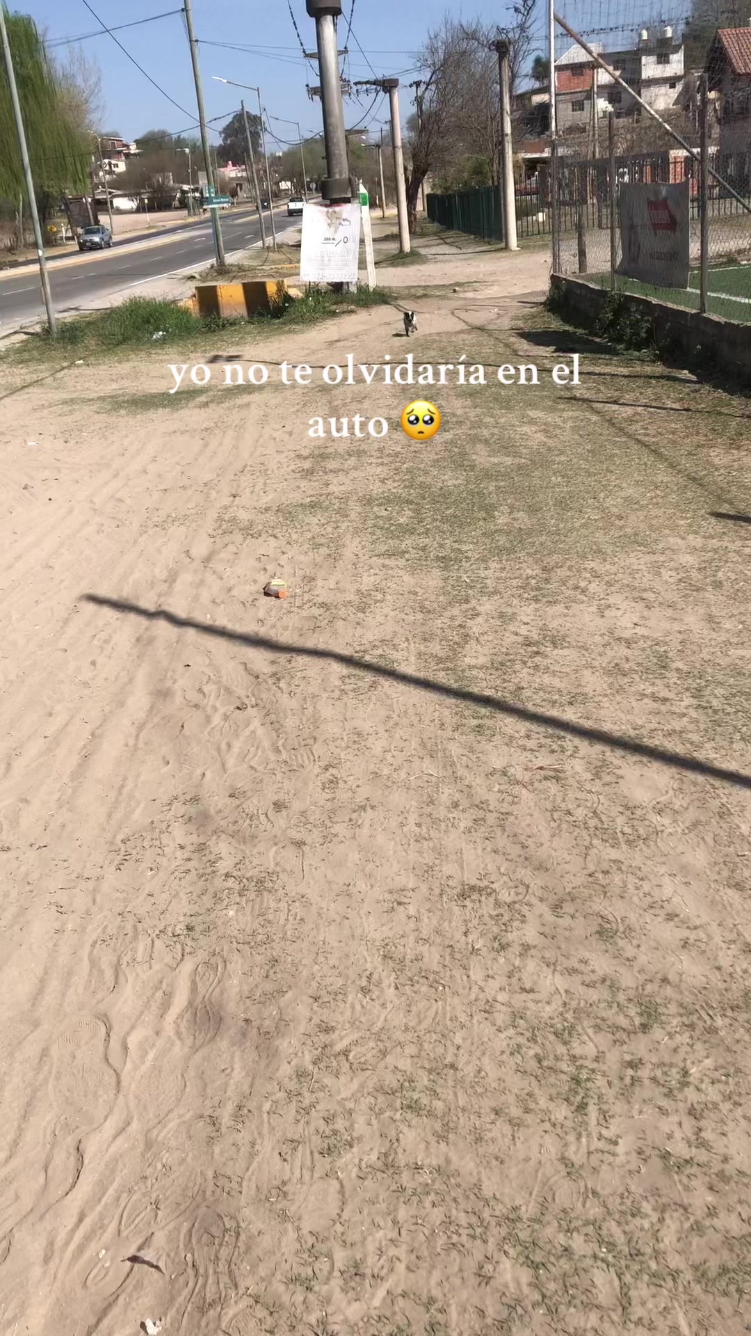 @Cami Portugal