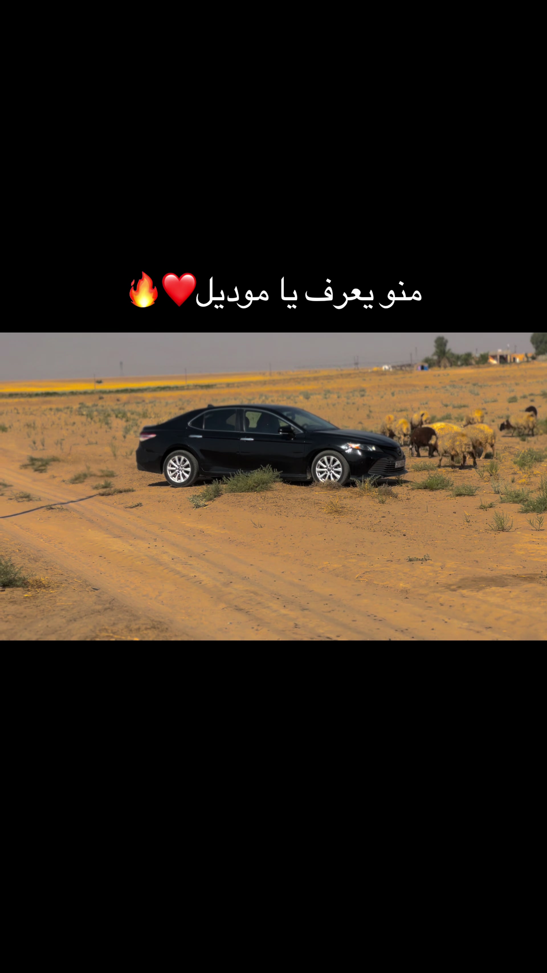 @ابو حرب📸