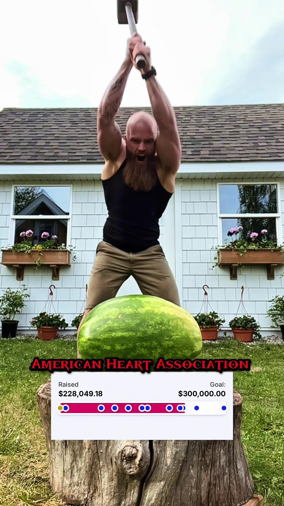 @Tanktolman-Nerd Gym Trainer ⚒️
