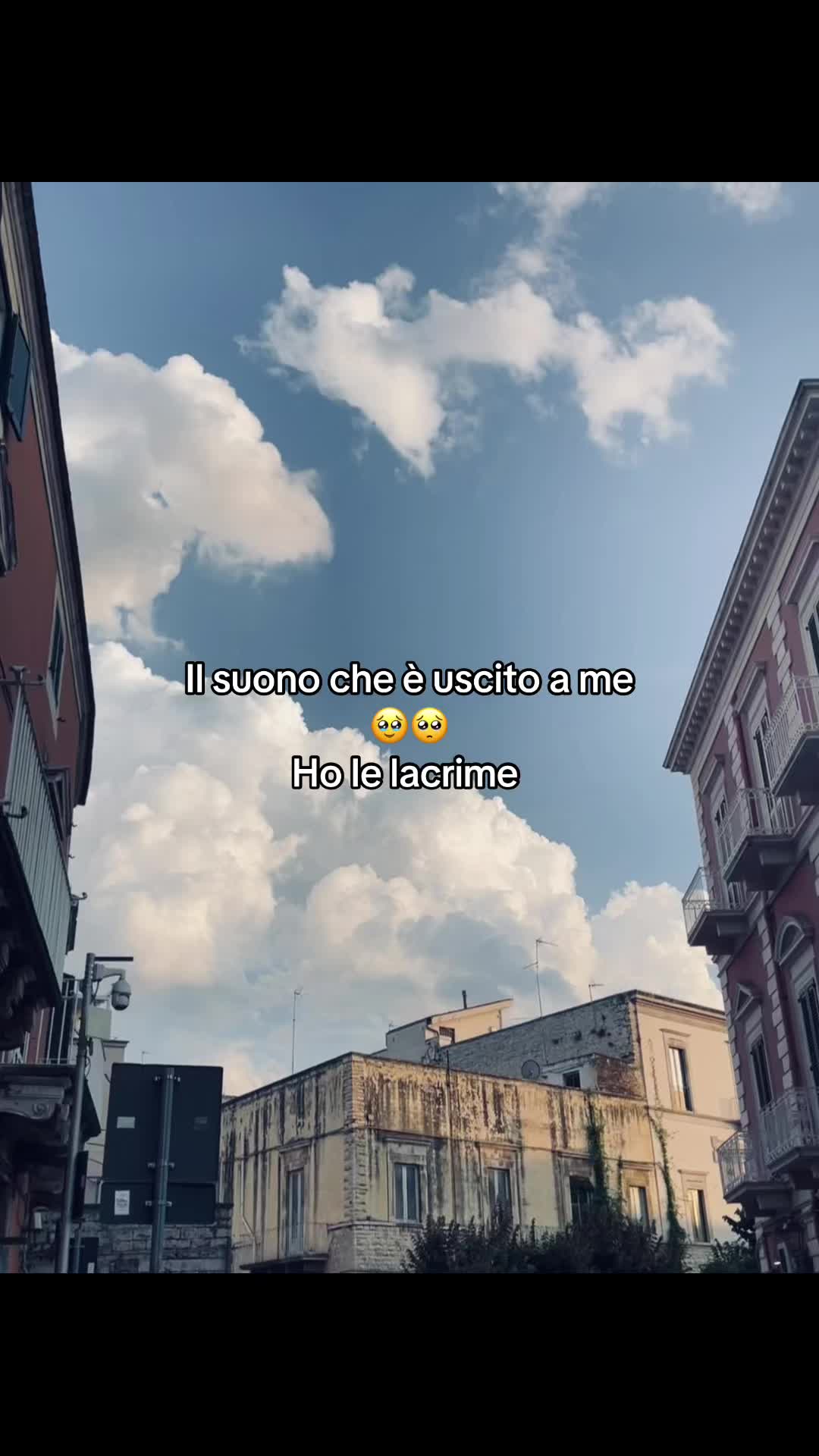 @🐚🪼🌊