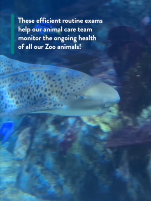@The Toledo Zoo