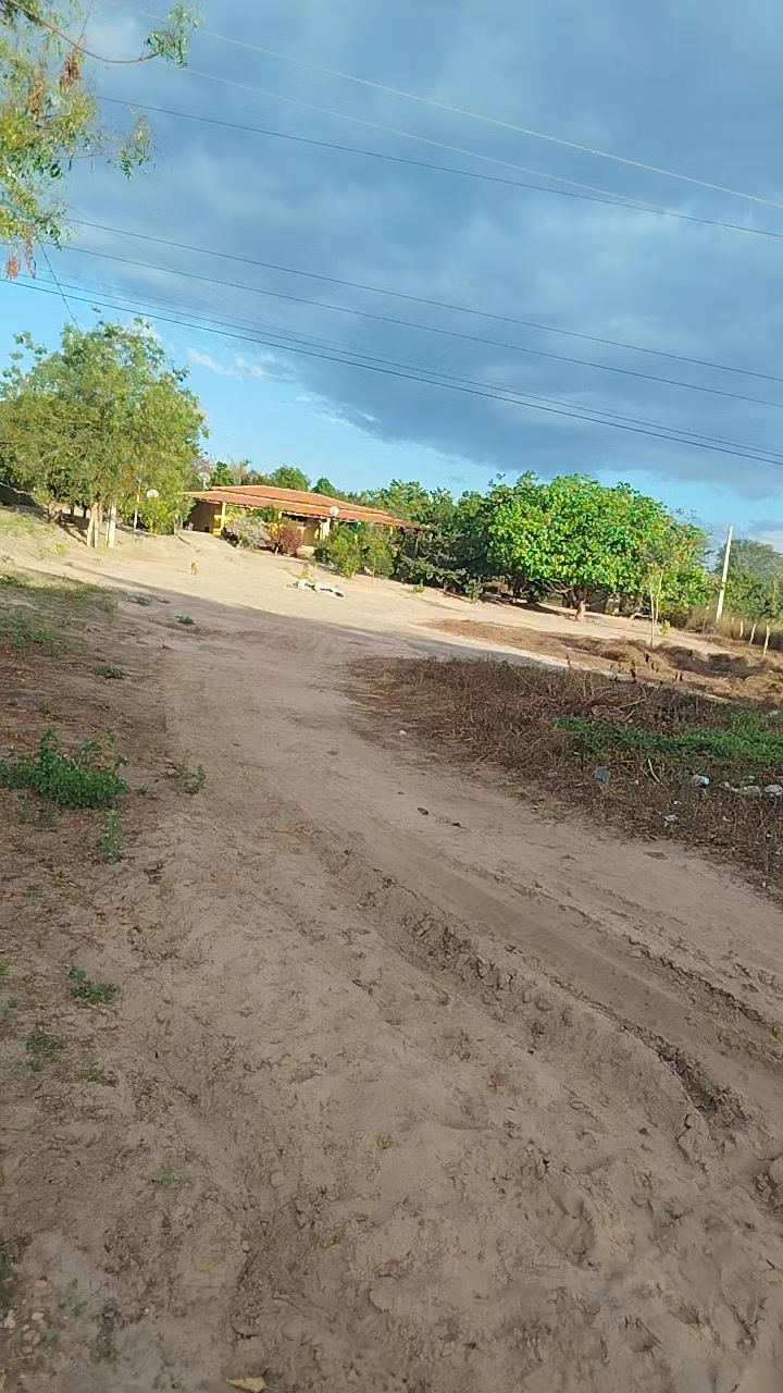 @Rosa De Sá