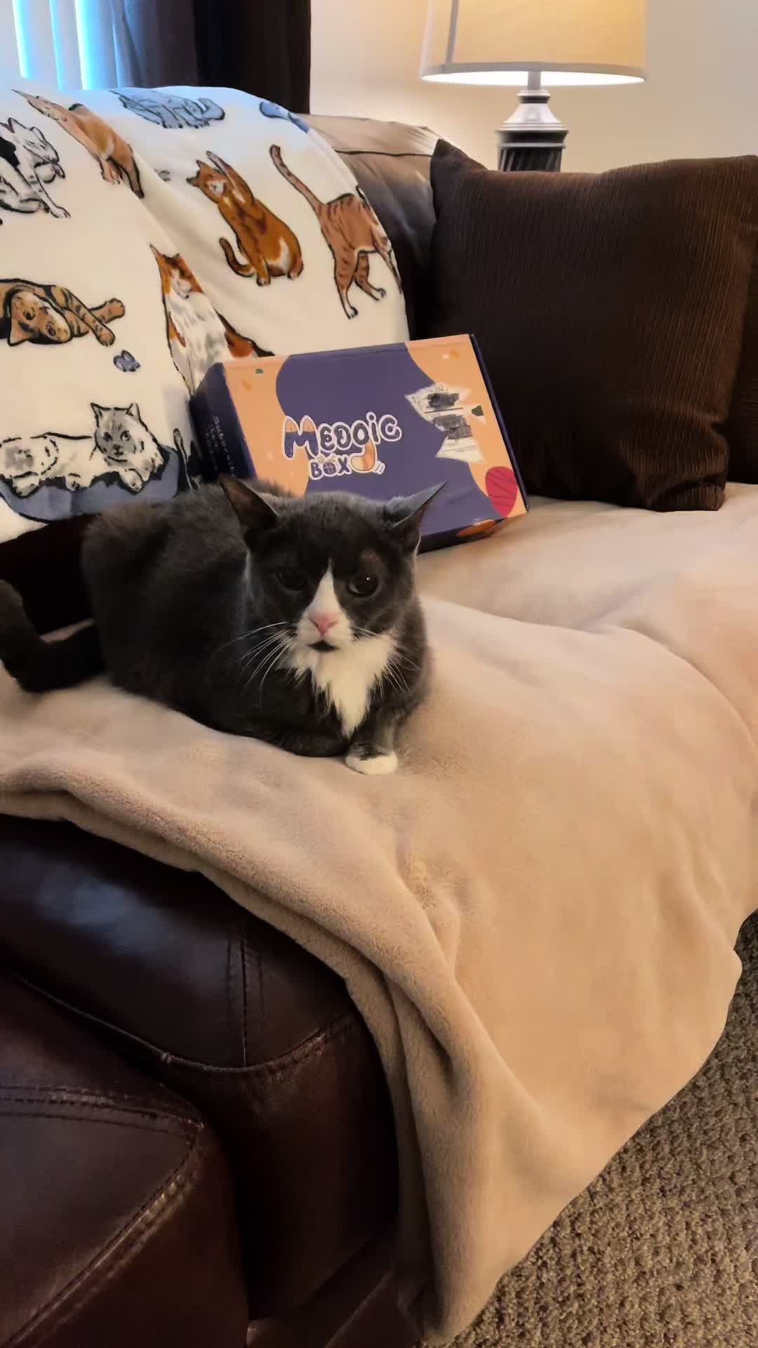 @Trixie the Tuxie