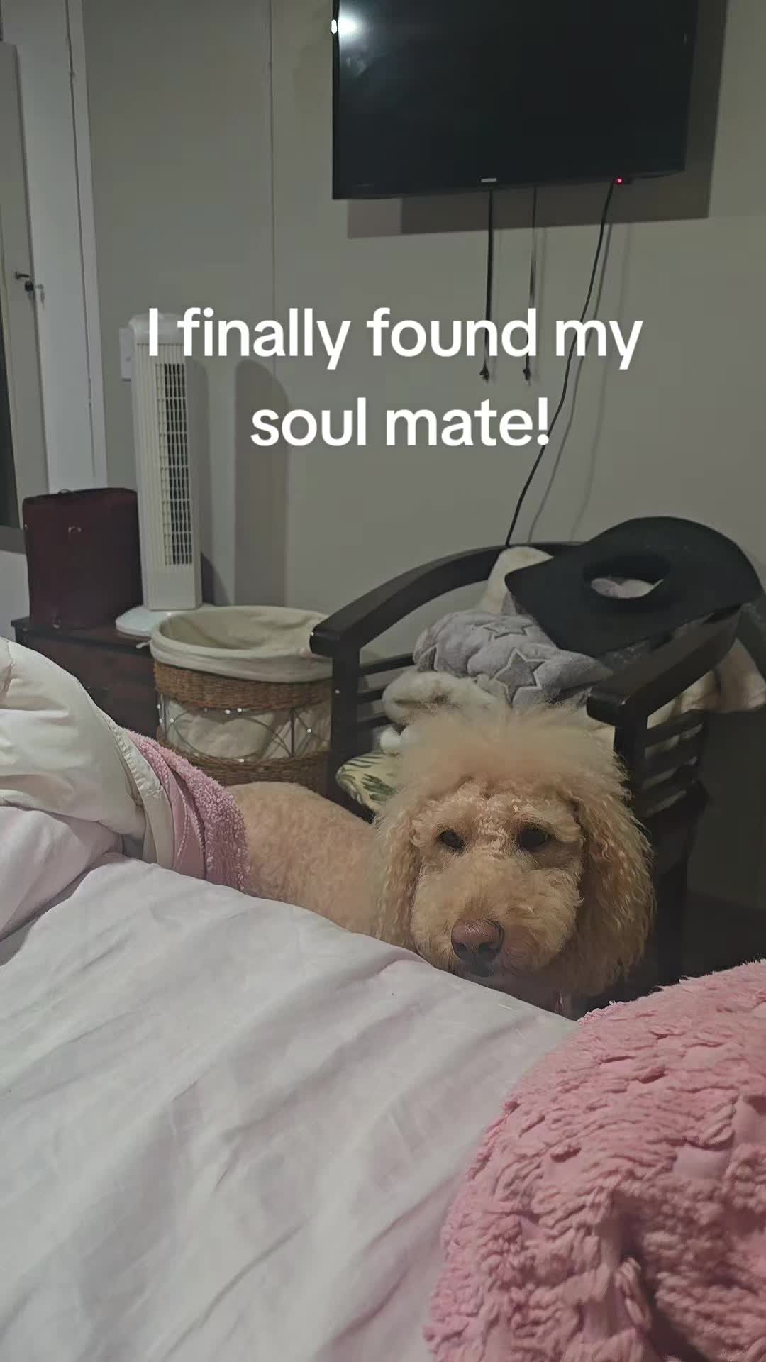 @MaryLynn
