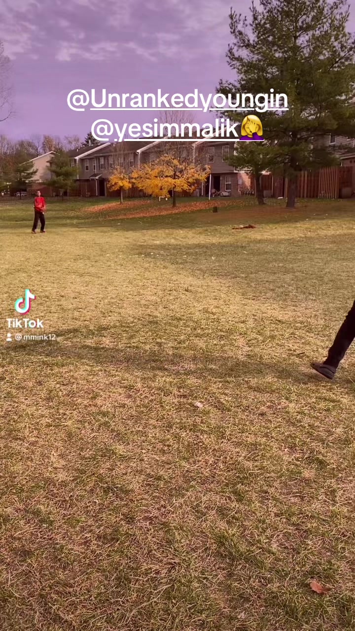 @4 way board hunting ball hawk