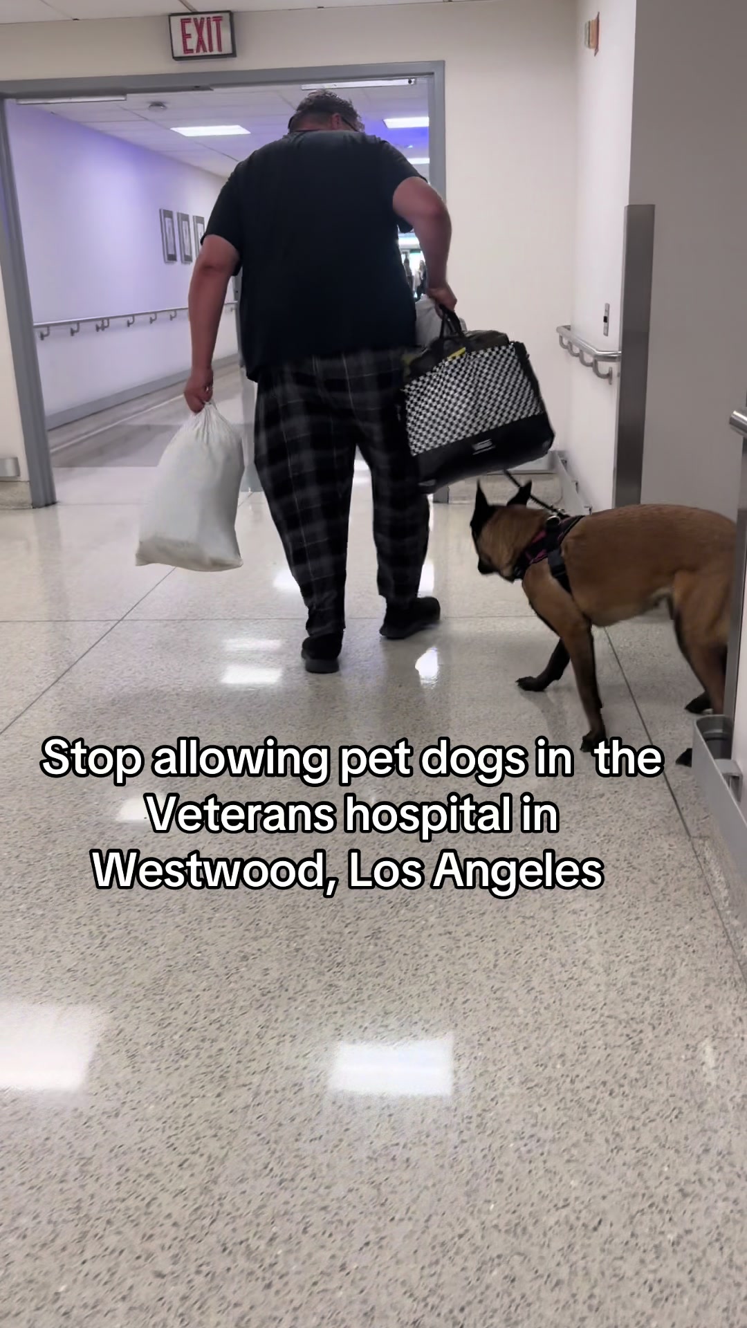 @Dogs aren&rsquo;t Family
