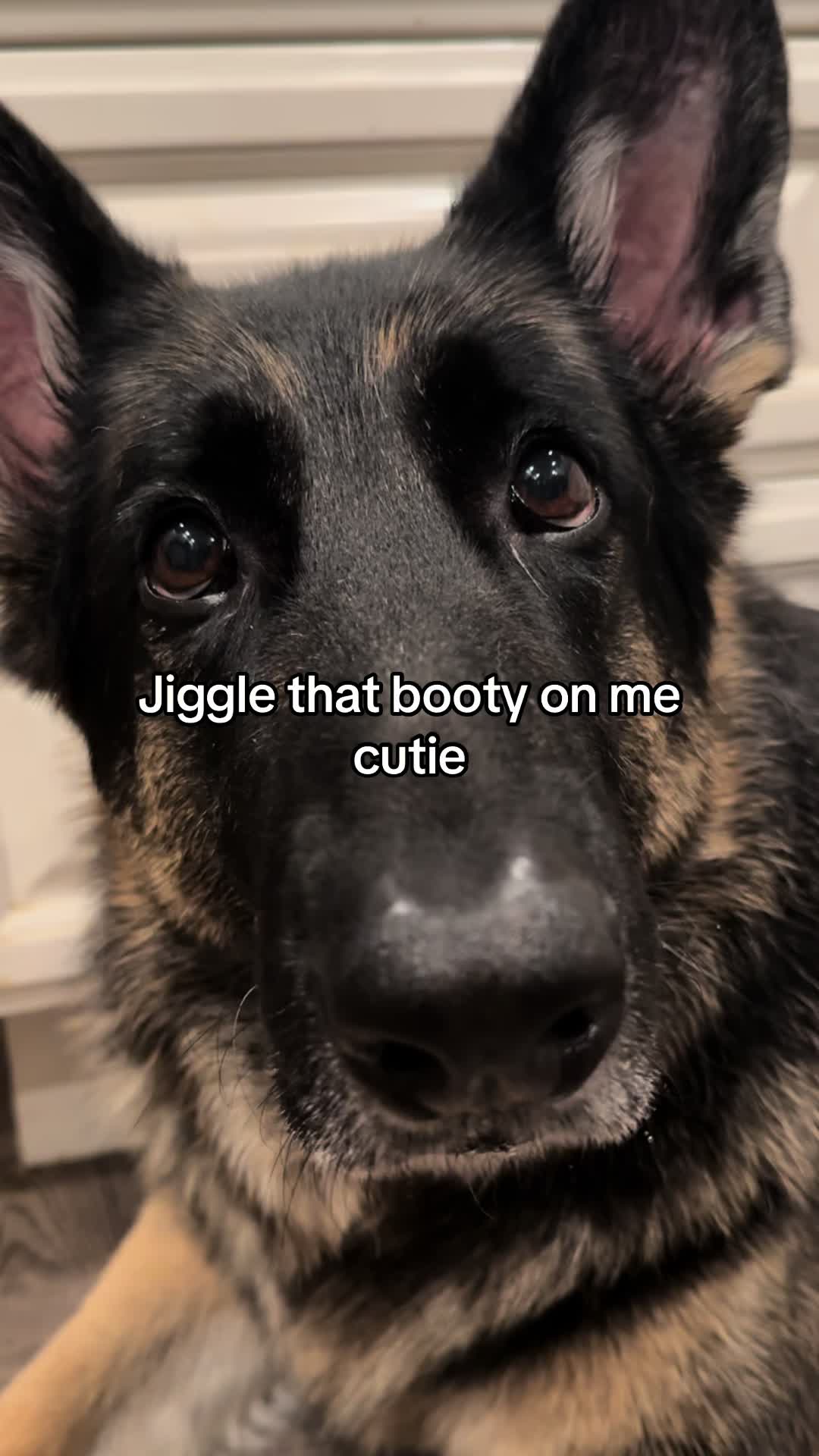 @Bhris