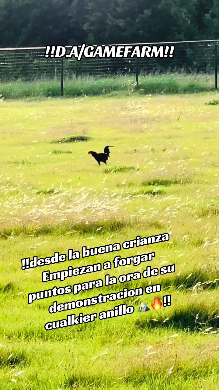@DAgamefarm
