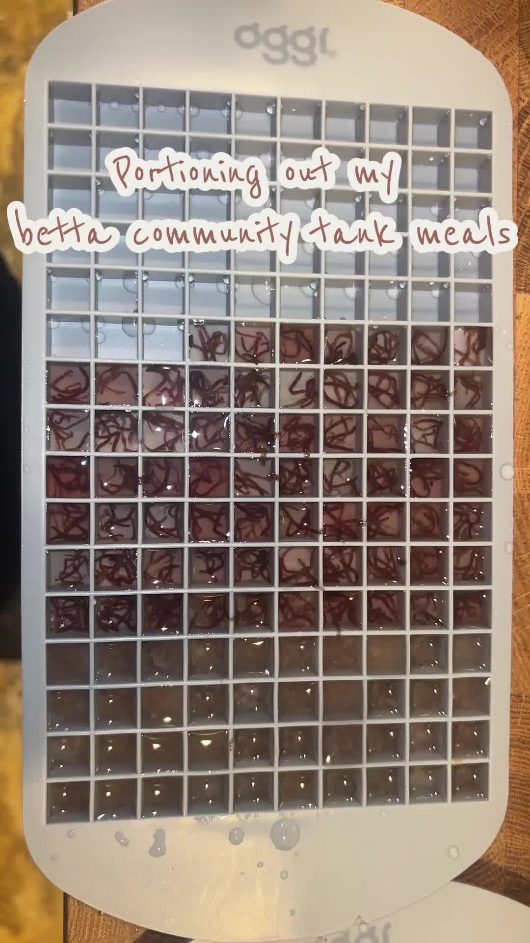 @sam