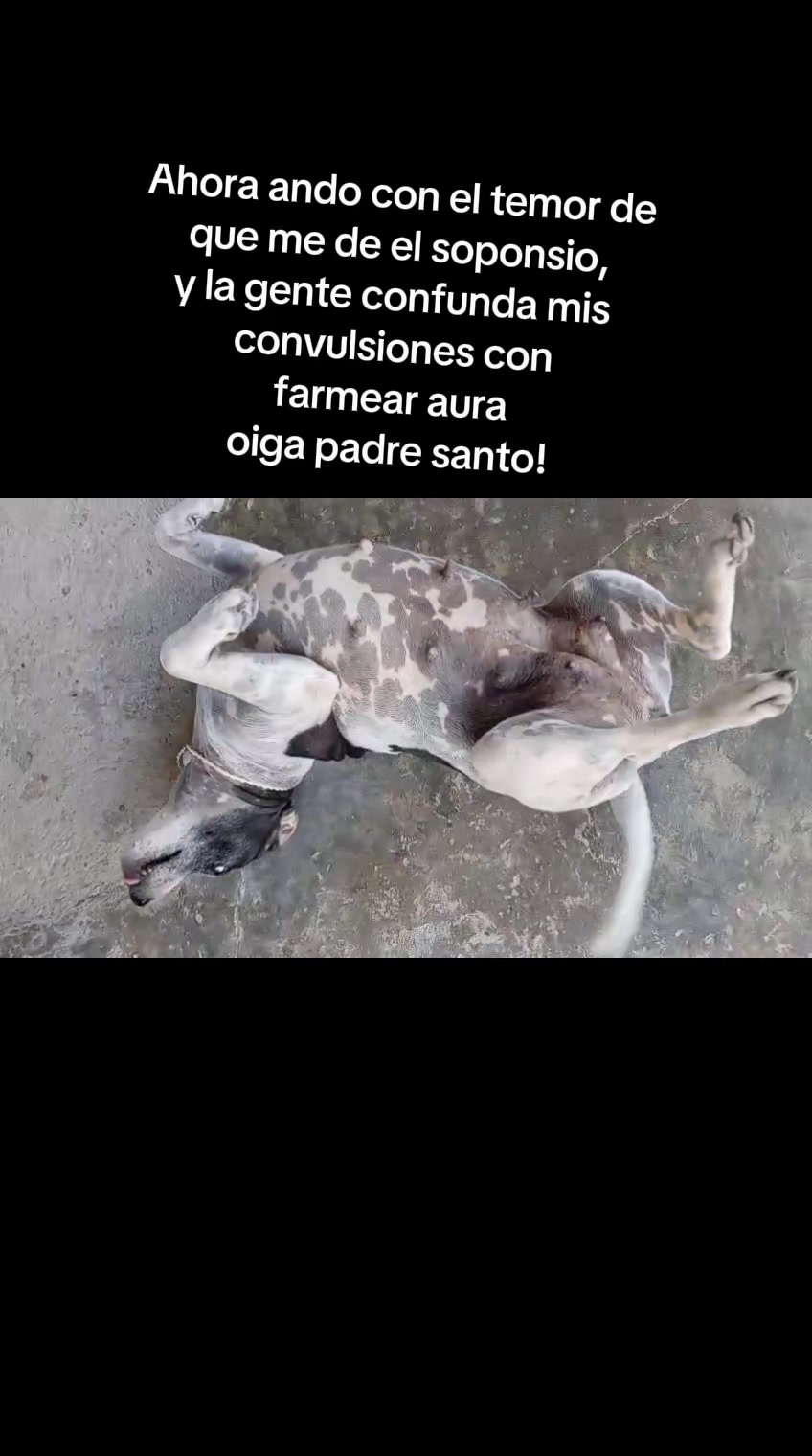 @MANCHAS 0714 OFICIAL