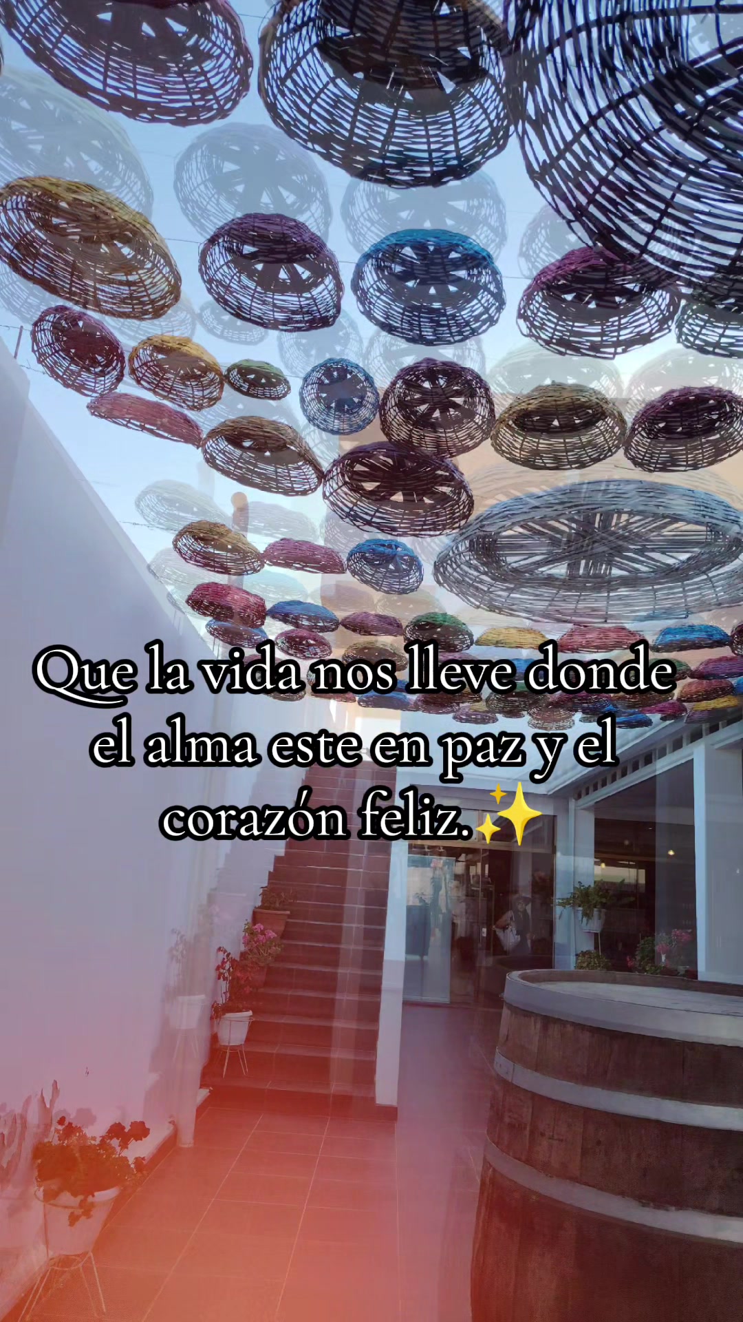 @clau 🦋