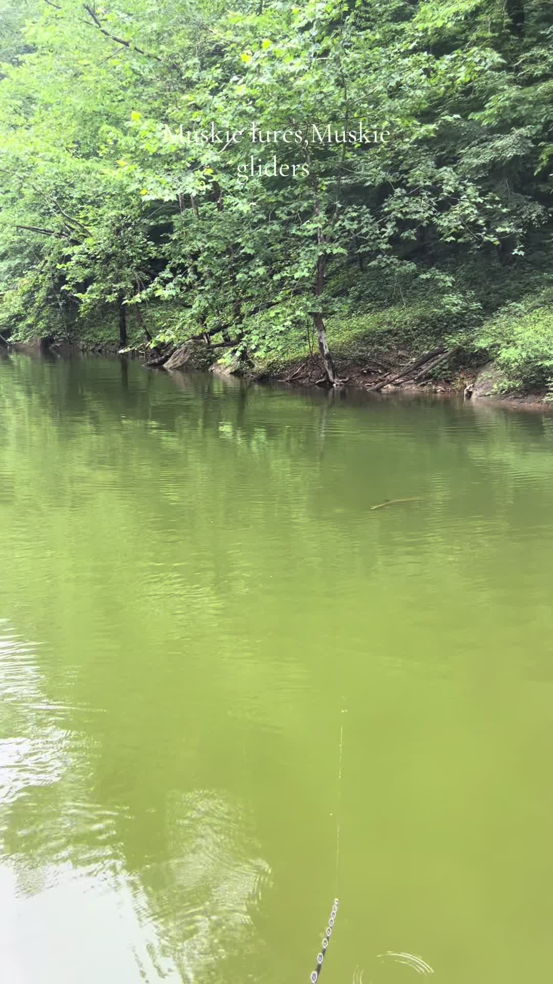 @JW Lures