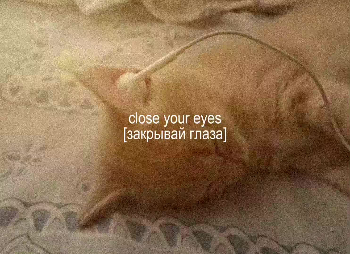 @𝐥𝐨𝐦𝐢𝐱𝐬𝐚
