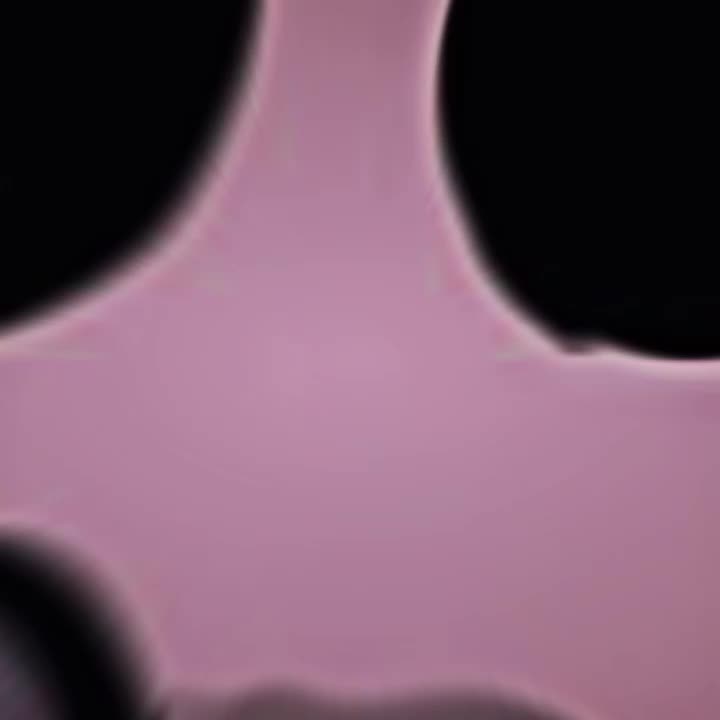 @melissa bunny💖